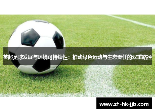 英超足球发展与环境可持续性：推动绿色运动与生态责任的双重路径
